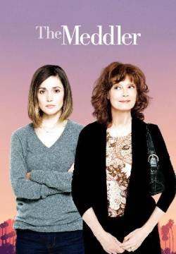 The Meddler
