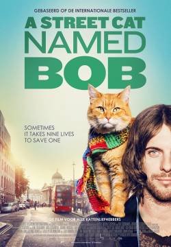 A spasso con Bob